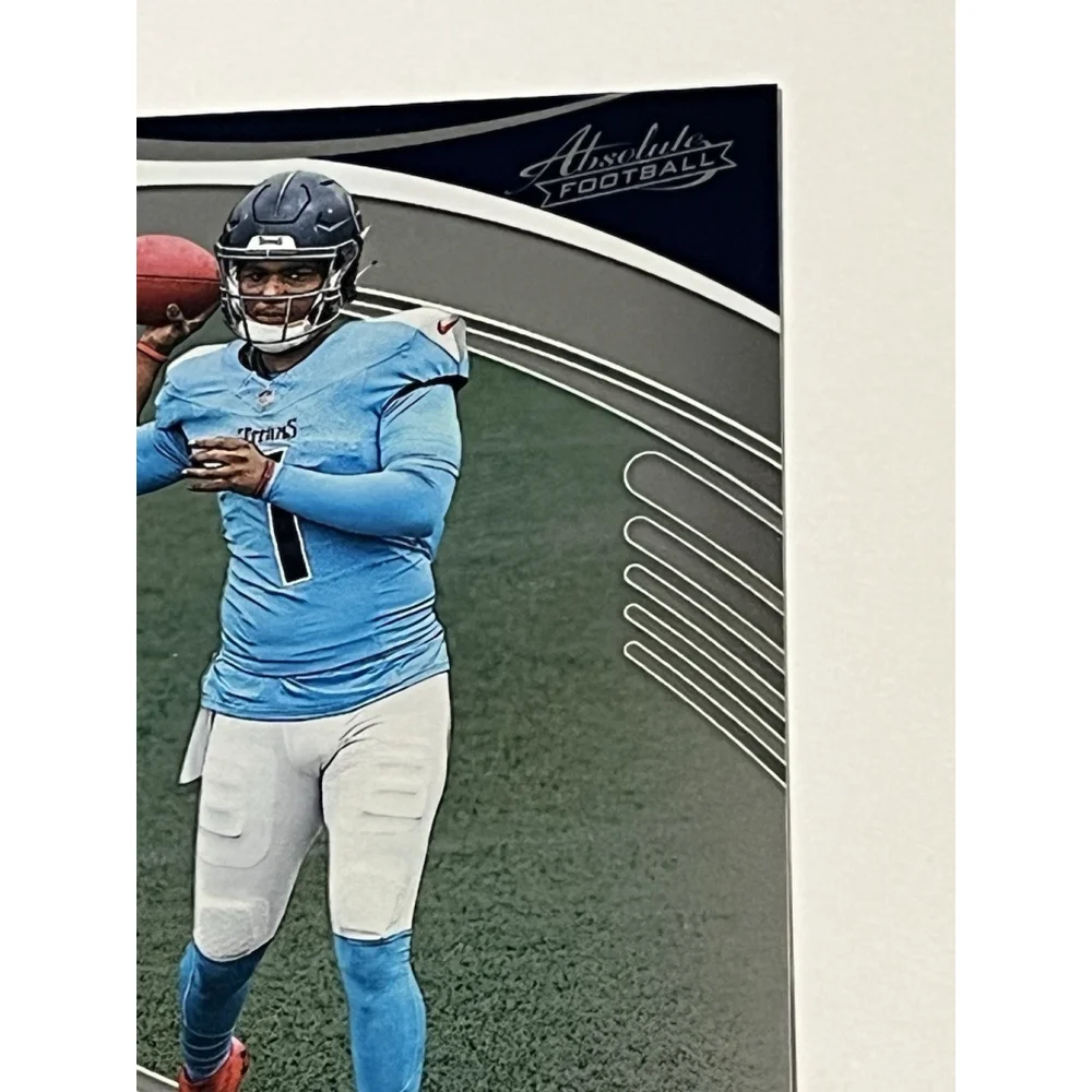 Panini this 2025
